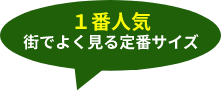 1番人気　街でよく見る定番サイズ