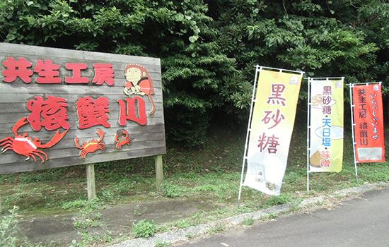 飲食店のぼり 制作実例とお客様の声　デザインもこちらの思うように何度も直していただき助かりました